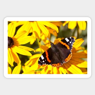 Red Admiral;Yellow Flower Sticker